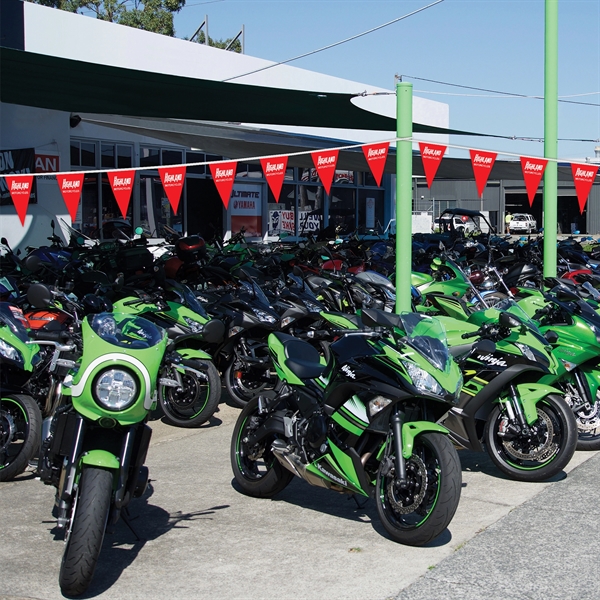 PVC Triangular pennant string; 100'.... from ASI 80228 Quinn