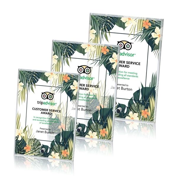 Vertical rectangle award with chrome or gold pin.... from ASI 84592 St Regis Group / St Regis