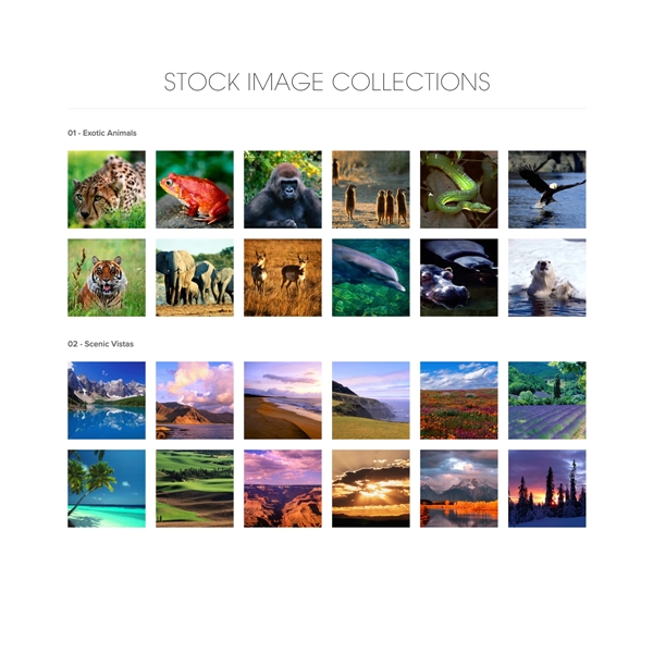 Attract attention for your business with a custom CD jewel case... from ASI 39850 The Bentcil Company / Bentcils™