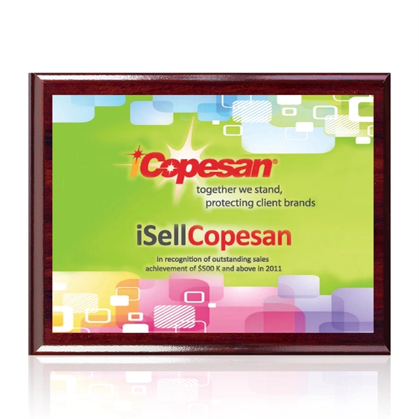 The 7" X 9" Carson plaque features artwork permanently printed and... from ASI 84592 St Regis Group / Prestige Glass