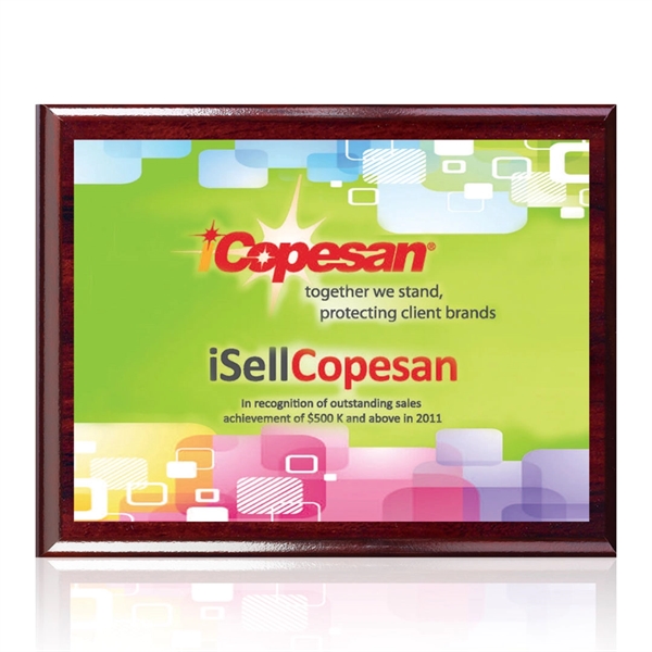 The 7" X 9" Carson plaque features artwork permanently printed and... from ASI 84592 St Regis Group / Prestige Glass