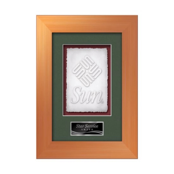 The Premier Cast Paper Framed Award capitalizes on the organic, delicate... from ASI 84592 St Regis Group / St Regis Crystal