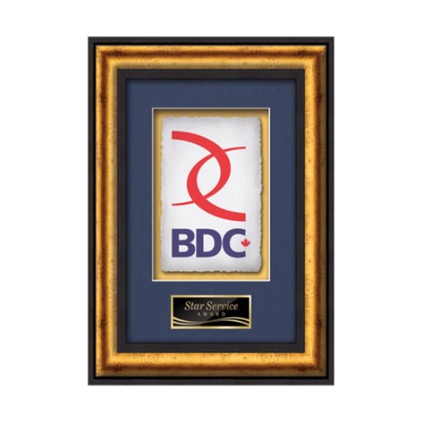 VividPrint award framed in our exquisite Grazia molding with your choice... from ASI 84592 St Regis Group