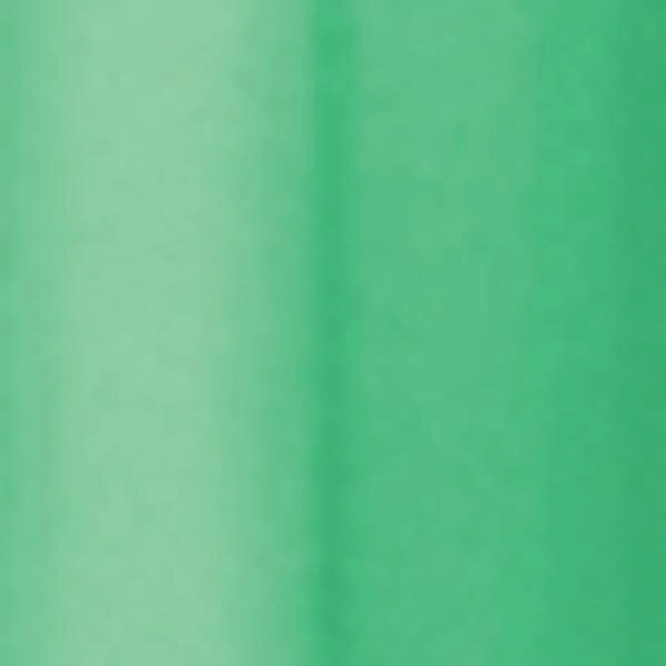 BIC® Intensity® Clic™ Gel Pen... from ASI 40480 Koozie Group