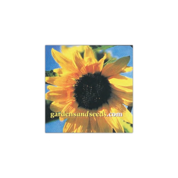 2 29/32" x 2 29/32" - Square shaped white flat flexible... from ASI 68507 The Magnet Group