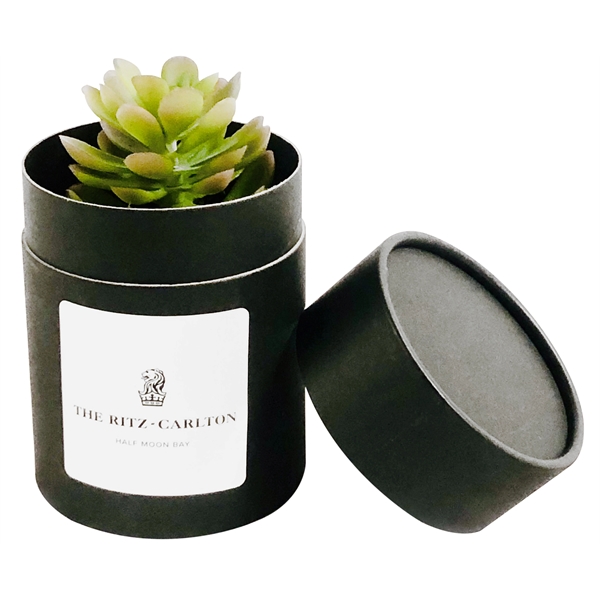 Assorted Succulents in Black Round Box... from ASI 58295 Groline