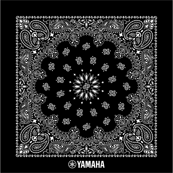 22" x 22" paisley print bandanna made of 100% cotton.... from ASI 44020 Bandanna Promotions By CARO-LINE / Bandanna Promotions