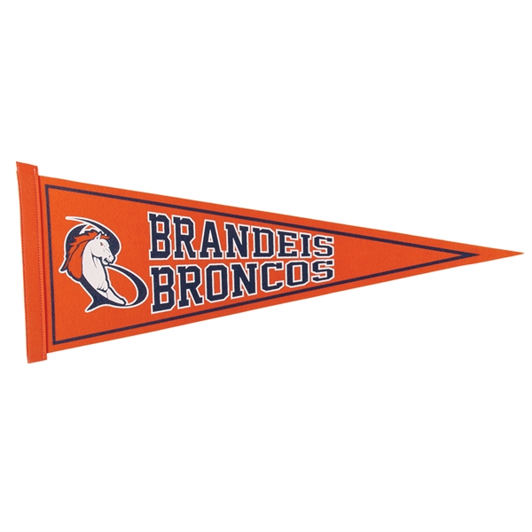 Felt 9" x 24" pennant with edge strip.... from ASI 77280 Pepco Poms / Pepco Poms