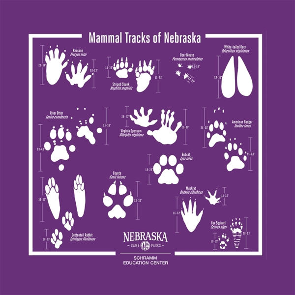 14" x 14" solid colored bandanna made of 100% cotton.... from ASI 44020 Bandanna Promotions By CARO-LINE / Bandanna Promotions