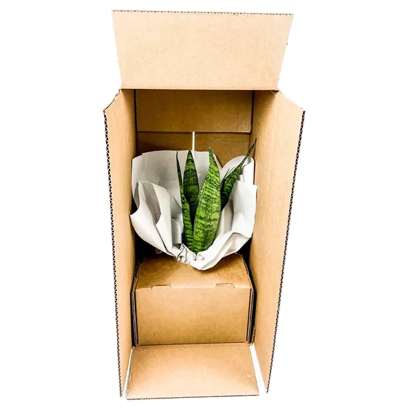 Large Hard-to-Kill Customizable Potted Plant Perfect for any Desk Space!... from ASI 49451 Desk Plants LLC