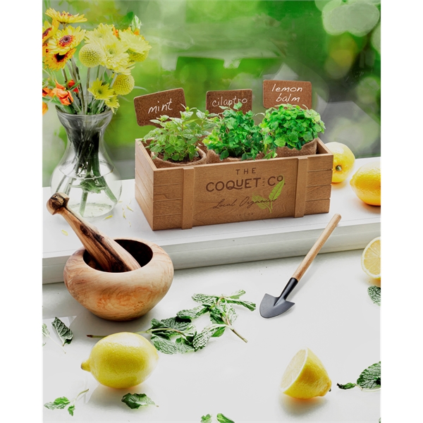 Wooden planter set that is great for growing small plants with... from ASI 62190 Illini