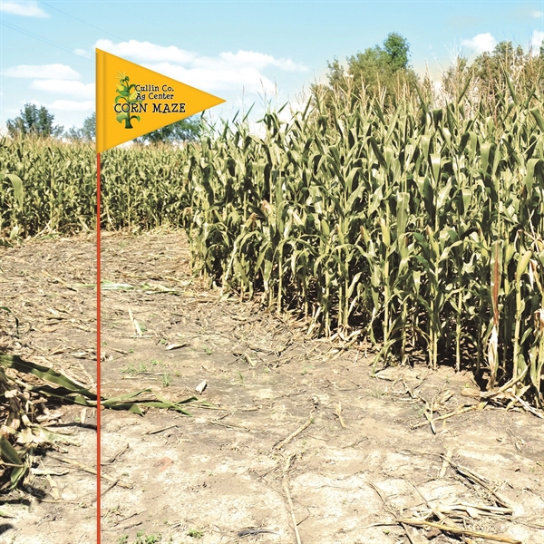 Custom single sided printed reinforced vinyl pennant field flag with 6'... from ASI 80228 Quinn