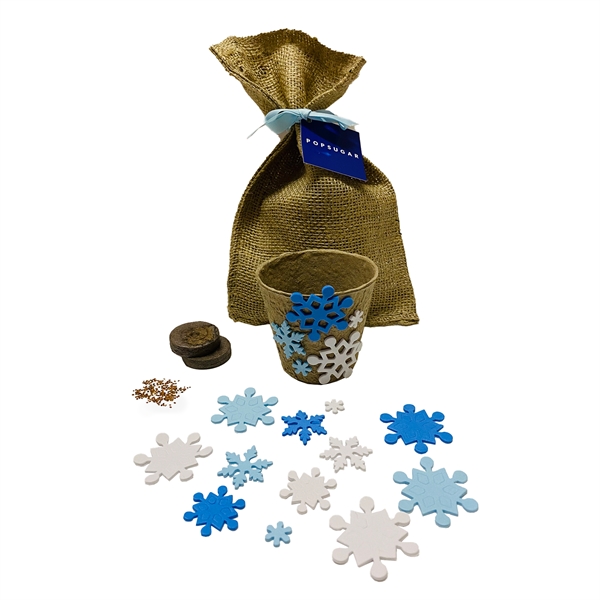 DIY Snowflake Gardening Kit... from ASI 58295 Groline