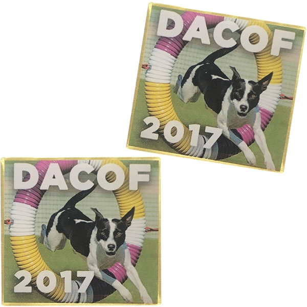 Custom shape offset print lapel pin.... from ASI 61966 HPG / BCG Creations