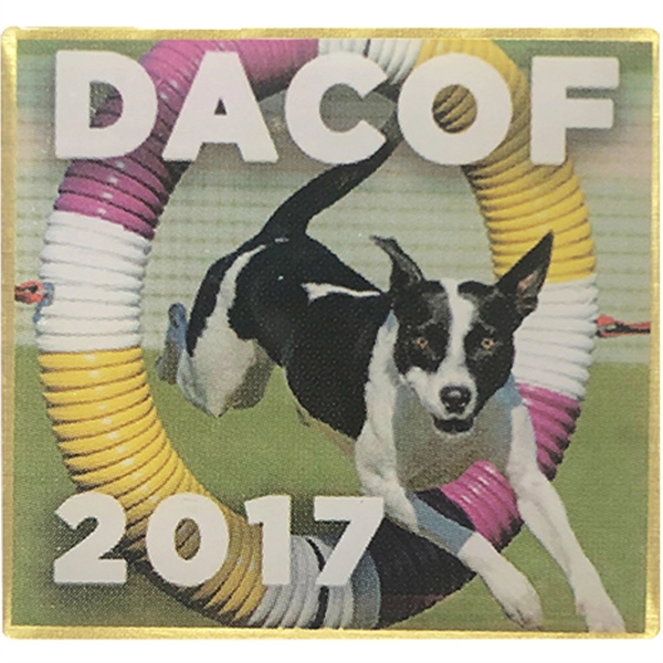 Custom shape offset print lapel pin.... from ASI 61966 HPG / BCG Creations