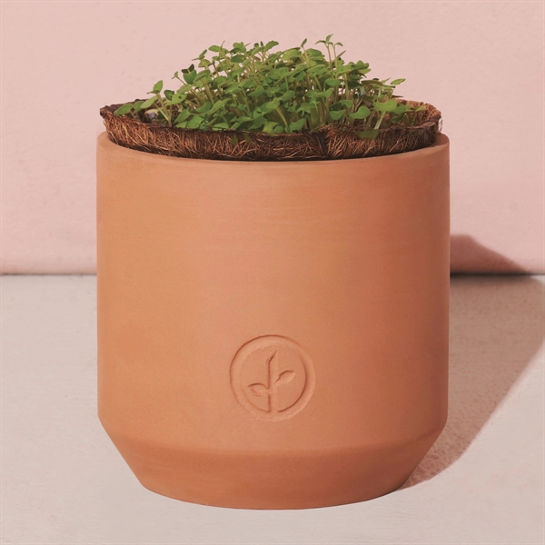 This petite terracotta kit delivers everything you need to nurture and... from ASI 56070 Gemline / Gemline®