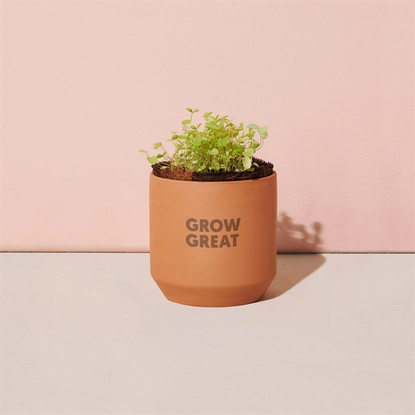 This petite terracotta kit delivers everything you need to nurture and... from ASI 56070 Gemline / Gemline®