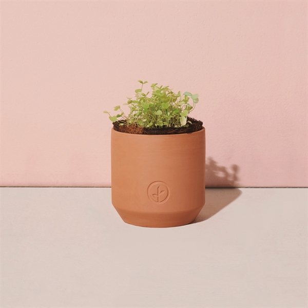 This petite terracotta kit delivers everything you need to nurture and... from ASI 56070 Gemline / Gemline®