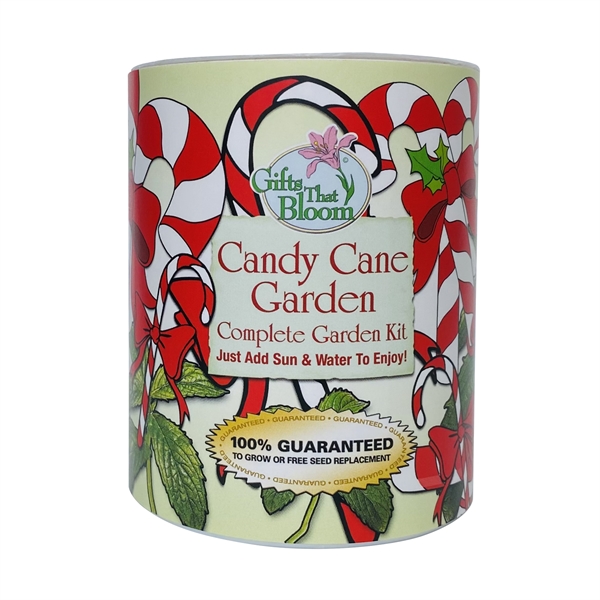 Candy Cane Garden in Eco Friendly Grocan... from ASI 58295 Groline