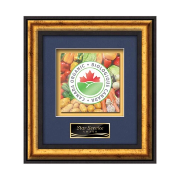 VividPrint award framed in our exquisite Grazia molding with your choice... from ASI 84592 St Regis Group