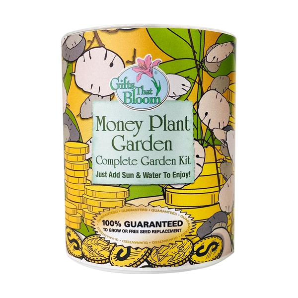 Money Plant Garden Grocan... from ASI 58295 Groline