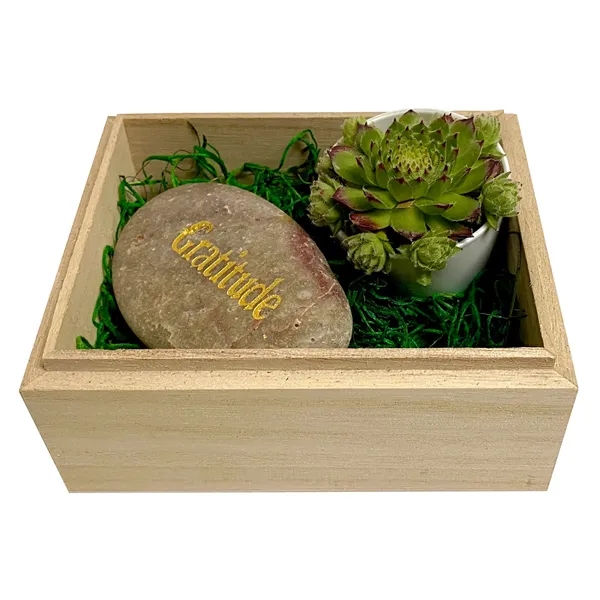 Gratitude Succulent Box... from ASI 58295 Groline