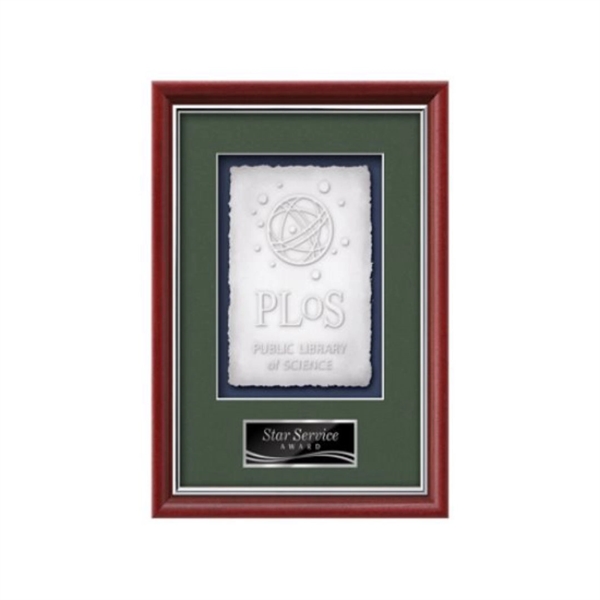 Cast Paper award framed in our exquisite Baron molding with your... from ASI 84592 St Regis Group
