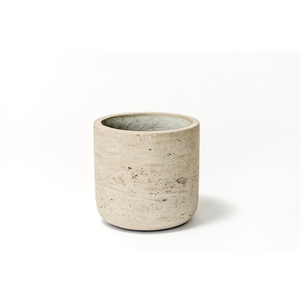 Large Hard-to-Kill Customizable Potted Plant Perfect for any Desk Space!... from ASI 49451 Desk Plants LLC