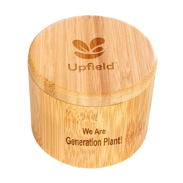 Round bamboo salt box.... from ASI 91565 Totally Bamboo