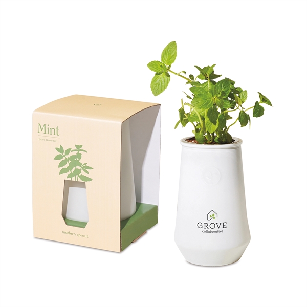 The sleek look of this modern and sophisticated hydroponic planter offers... from ASI 56070 Gemline / Gemline®