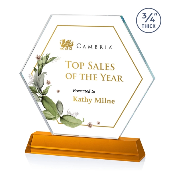 The Ralston Optical Crystal VividPrint™ Award on a tall tapered optical... from ASI 84592 St Regis Group / St Regis