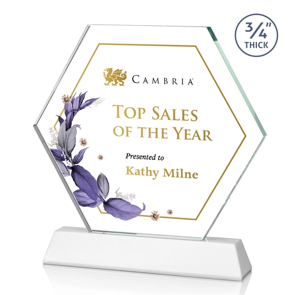 The Ralston Optical Crystal VividPrint™ Award on a tall tapered optical... from ASI 84592 St Regis Group / St Regis