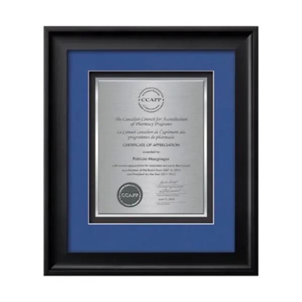 Commemorate a milestone achievement with Waterleaf Studios' Certificate collection... from ASI 84592 St Regis Group