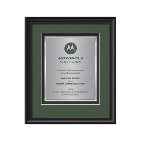 Commemorate a milestone achievement with Waterleaf Studios' Certificate collection... from ASI 84592 St Regis Group