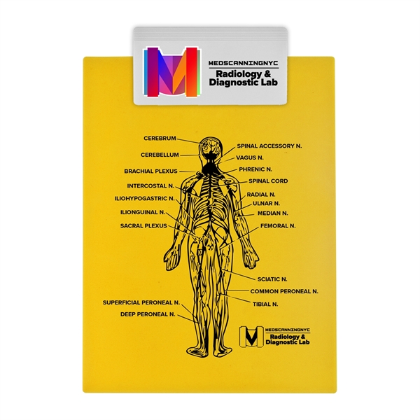 Full-sized clipboard with jumbo 5-1/2" clip holds a standard 8 1/2"... from ASI 55990 Garyline