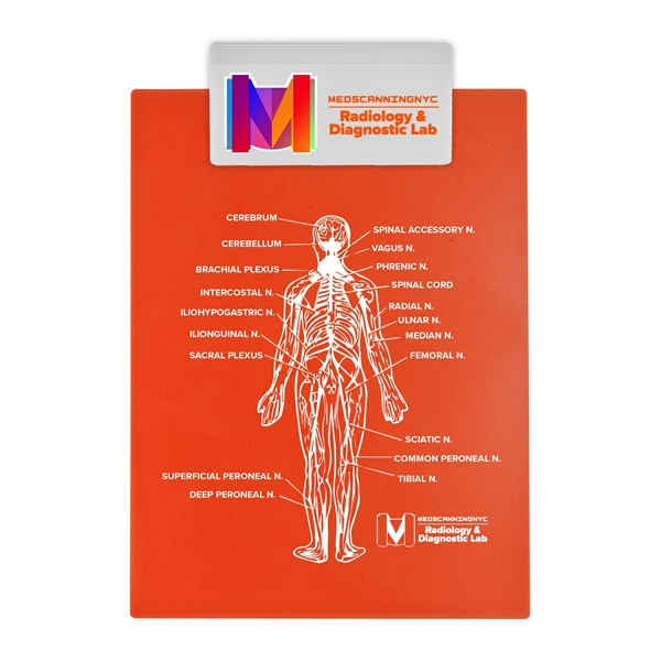 Full-sized clipboard with jumbo 5-1/2" clip holds a standard 8 1/2"... from ASI 55990 Garyline