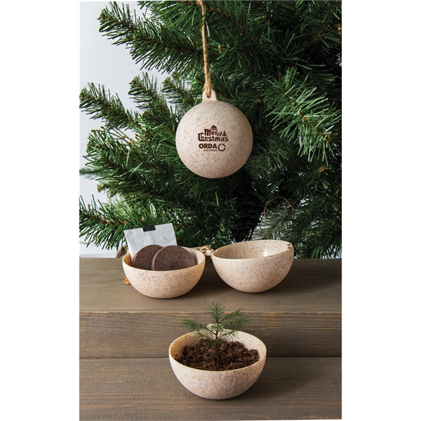 Planter kit with your choice of seeds, coconut coir pellet and... from ASI 62190 Illini