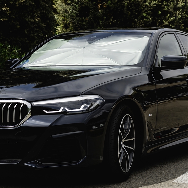 Beat the heat with this UV-coated car dashboard umbrella! Includes a... from ASI 89955 StrombergBrand / Stromberg