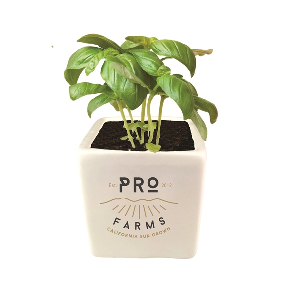 Grow Kit- Basil with Ceramic Pot... from ASI 72657 Active Life Promo / Ingrain
