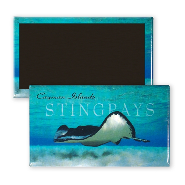 Rectangle button magnet produced using a metal shell.... from ASI 93520 Ventura Inc