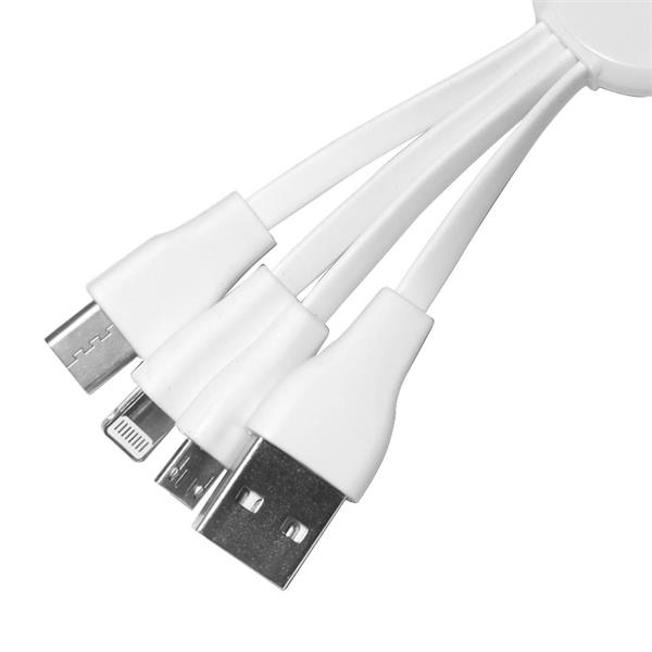 4 cables, one with USB tip, the others are Micro USB... from ASI 90154 Sunjoy Group Inc