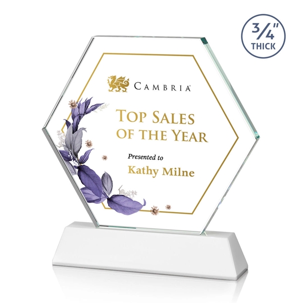 The Ralston Optical Crystal VividPrint™ Award on a tall tapered optical... from ASI 84592 St Regis Group / St Regis