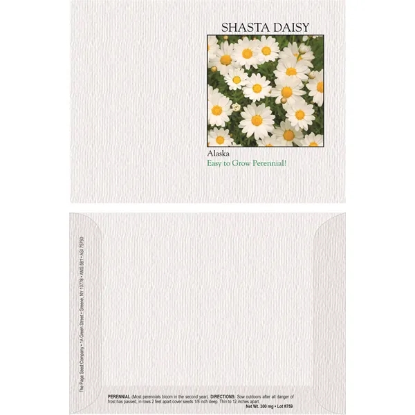 Impression Series Shasta Daisy flower seeds in a packet made of... from ASI 75760 The Page Seed Co / Page Seed