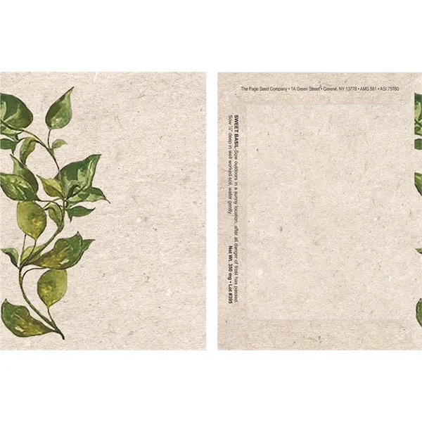 Watercolor Series Sweet Basil seeds in a packet.... from ASI 75760 The Page Seed Co / Page Seed