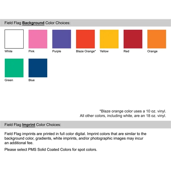 Custom single sided printed reinforced vinyl pennant field flag with 6'... from ASI 80228 Quinn