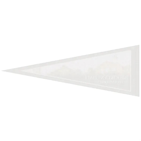 9" x 24" digitally printed custom felt pennant.... from ASI 80228 Quinn