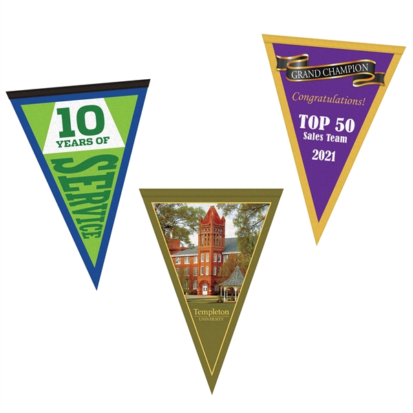 14" x 20" Vertical Triangle Shaped Felt Banner.... from ASI 80228 Quinn