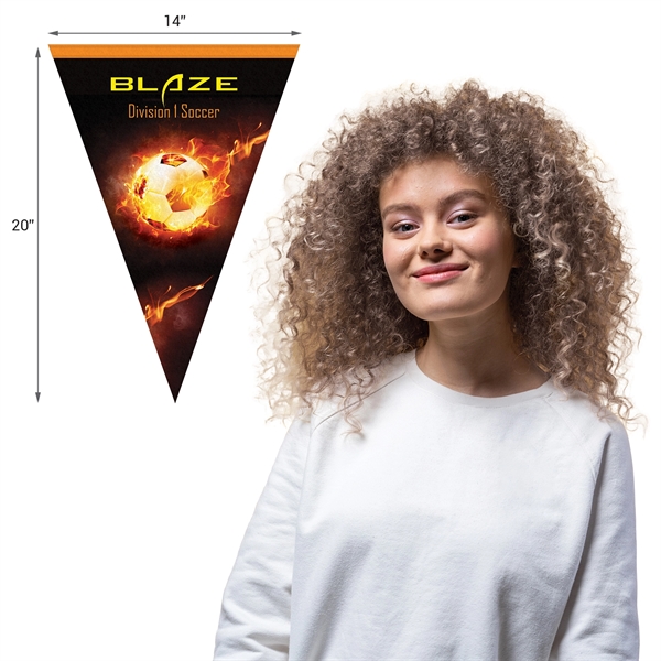 14" x 20" Vertical Triangle Shaped Felt Banner.... from ASI 80228 Quinn