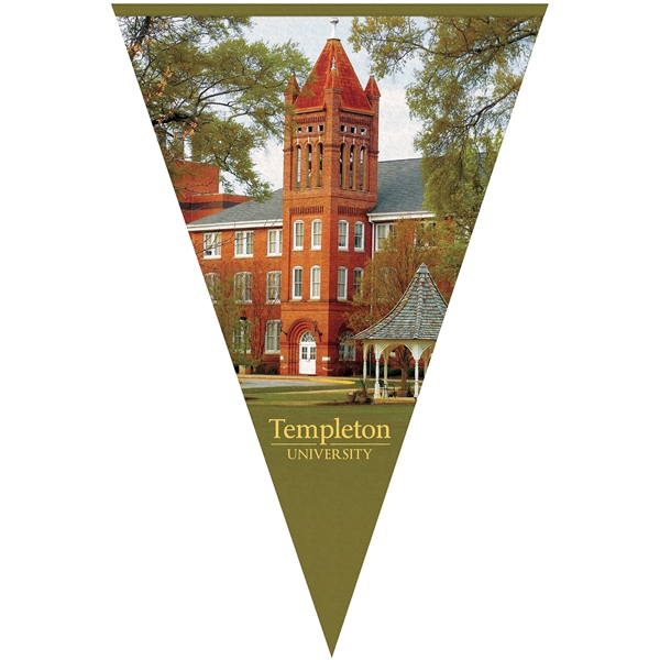 24" x 36" Vertical Triangle Shaped Felt Banner.... from ASI 80228 Quinn