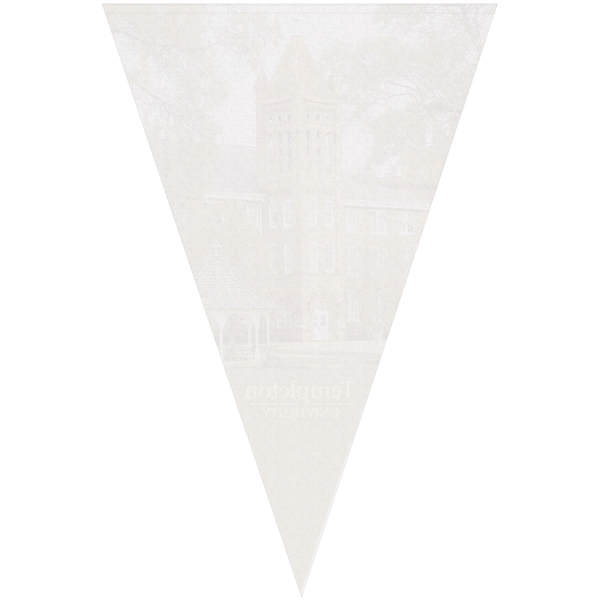 24" x 36" Vertical Triangle Shaped Felt Banner.... from ASI 80228 Quinn